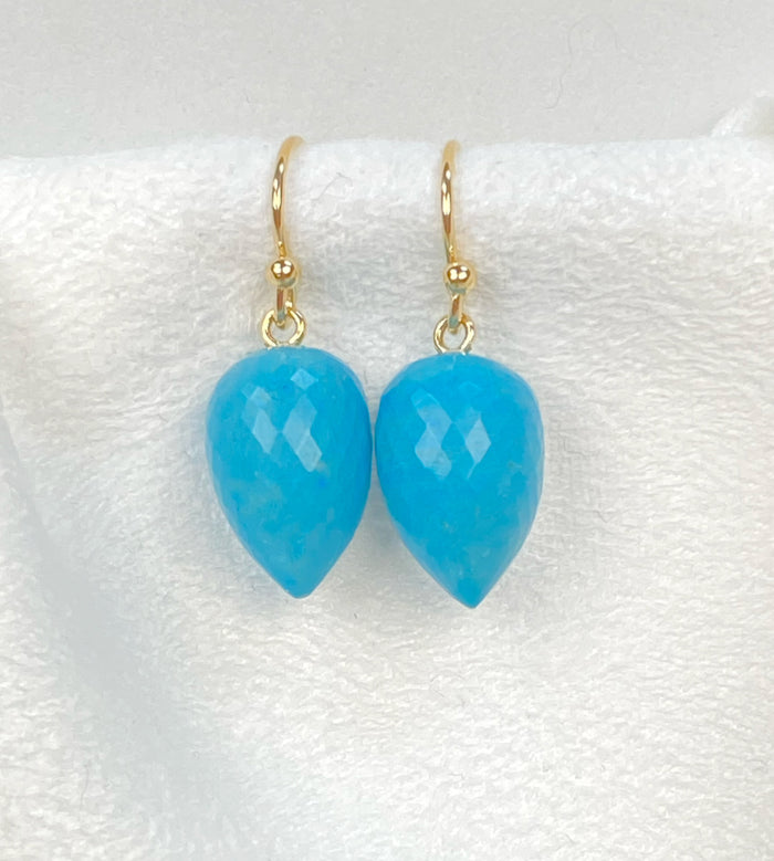 Turquoise Micro Faceted Briolette Long Drop Earrings 14k Gold Fill - Doolittle